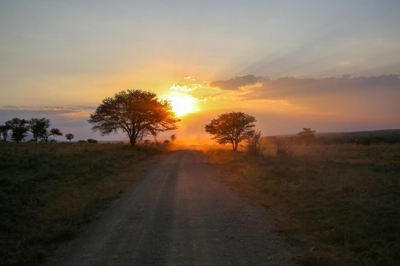 Osero Serengeti Luxury Tented Camp Banagi Exteriör bild